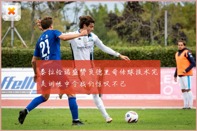 泰拉恰诺盛赞莫德里奇传球技术完美训练中令我们惊叹不已