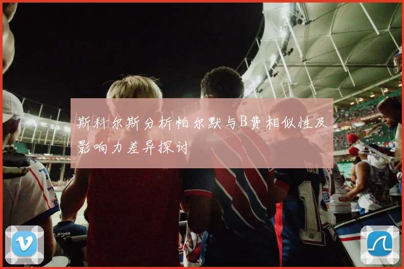 斯科尔斯分析帕尔默与B费相似性及影响力差异探讨